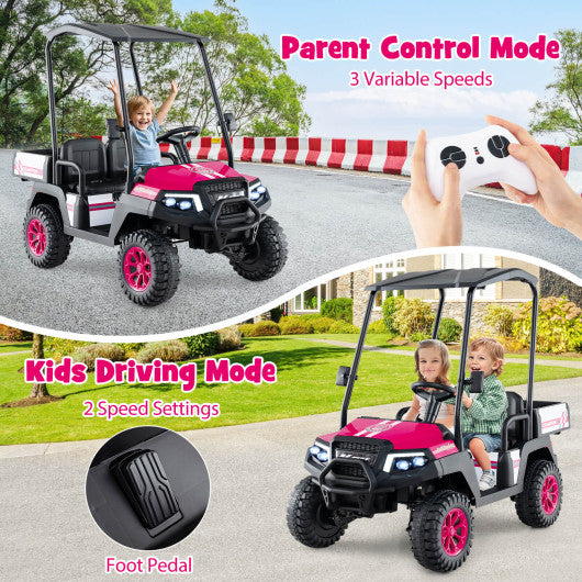 24V Kids Golf Cart 4WD 2-Seater Ride on Car with Storage Trunk and Horn-Pink