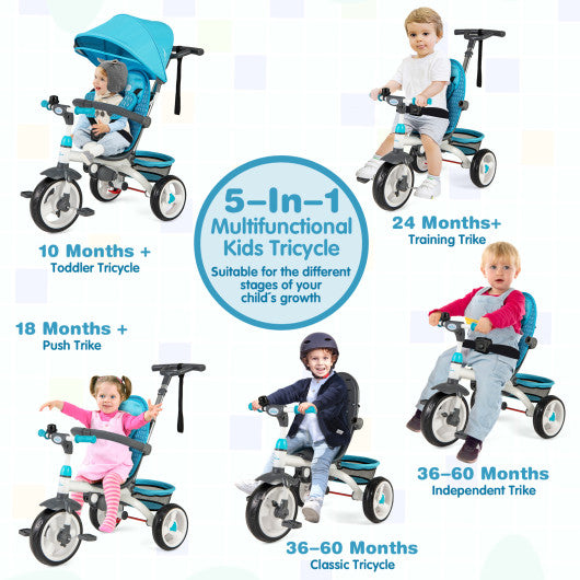 5-in-1 Detachable Baby Stroller Tricycle with Round Canopy-Blue