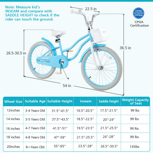 20 Inch Kids Bike with Dual Brakes and Adjustable Seat
