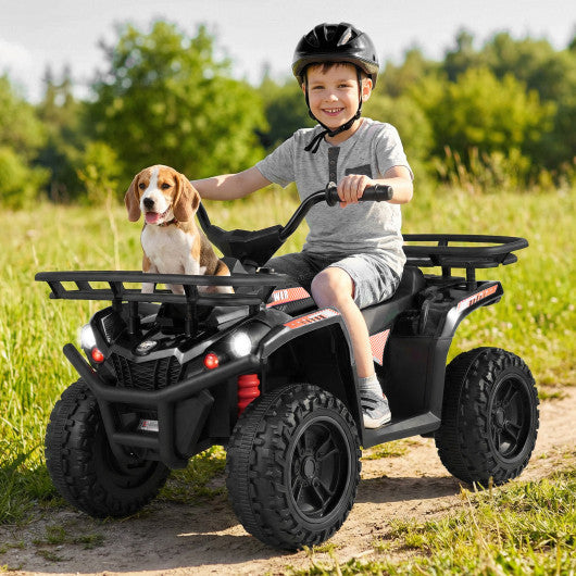 24V Electric Ride On Quad with LED Headlights-Black-2 Pieces