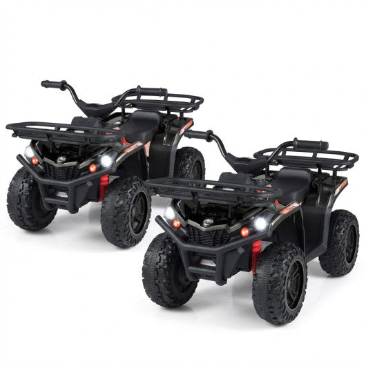 24V Electric Ride On Quad with LED Headlights-Black-2 Pieces