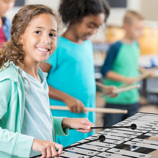 30 Notes Percussion with Practice Pad Mallets Sticks Stand